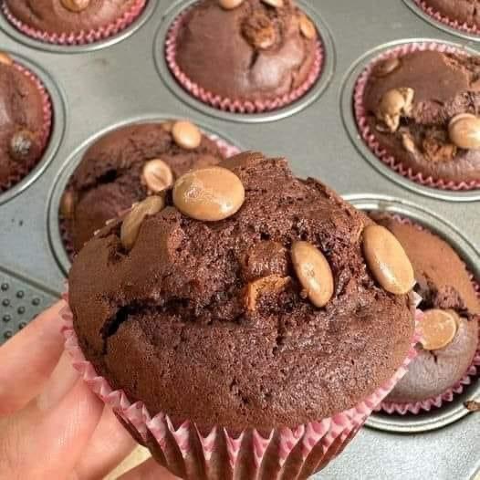 CHOCOLATE MUFFINS