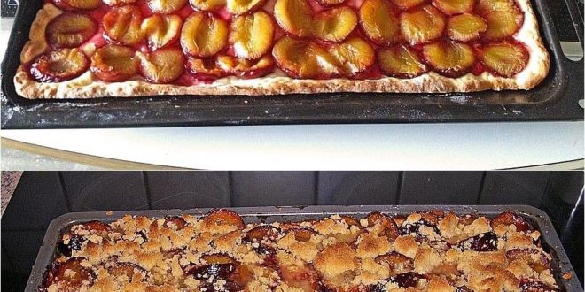 Schneller Pflaumenkuchen vom Blech Schneller Pflaumenkuchen vom Blech
